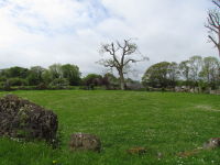 Grange Stone Circle